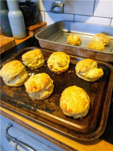 Cheese Scones